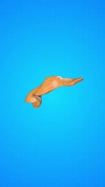 Pankreasın insan iç organı