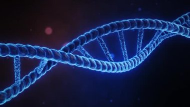 Gradyan Arkaplan ile DNA Sarmalı Döndürülüyor