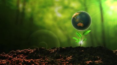 Ekolojik kavram 3 boyutlu Dünya bitkiyle dönüyor