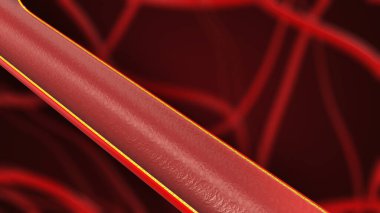 Sağlıklı atardamar kesiti kan akışı