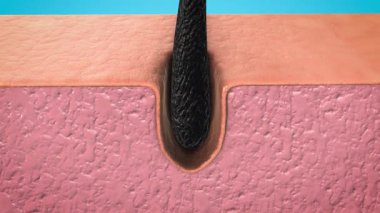 Vitamin Serumlu Hasarlı Saçları Canlandır