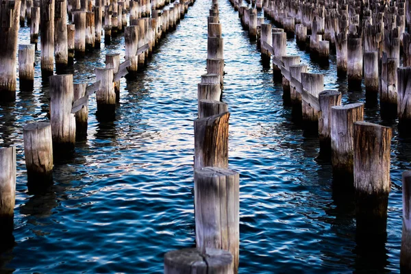 Remains of the original wooden pillars at Princes Pier of Melbourne at sunset