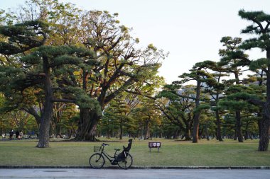Sıcak bir bahar günbatımında, yaya yolunda ağaçlarla ve bisikletle bir Japon parkı.