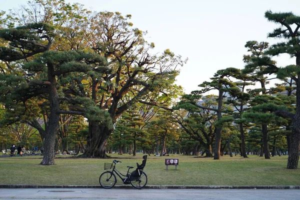 Sıcak bir bahar günbatımında, yaya yolunda ağaçlarla ve bisikletle bir Japon parkı.