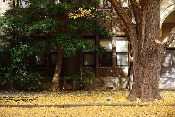 Geometrik metal tavan, camlardan içeri güneş ışığı giriyor.