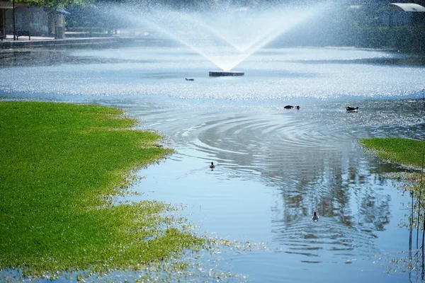 Geometrik metal tavan, camlardan içeri güneş ışığı giriyor.