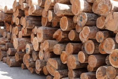wooden logs for background