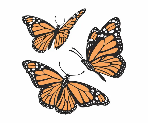 Kelebek siluetleri ve simge vektör seti logo tasarımı