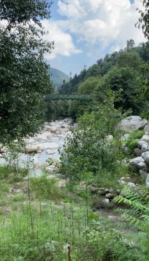 view of the river and forest in the background in the middle of a mountain landscape