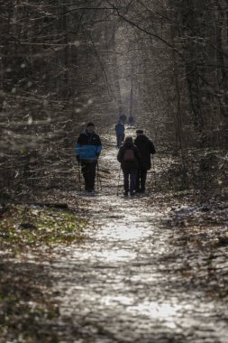 Old people, pandemic survivals left houses at the end of winter, traffic in parks, Nordic walking