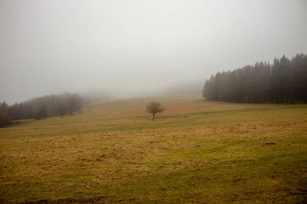 冬天的早晨 山谷里一片朦胧的风景 — 图库照片
