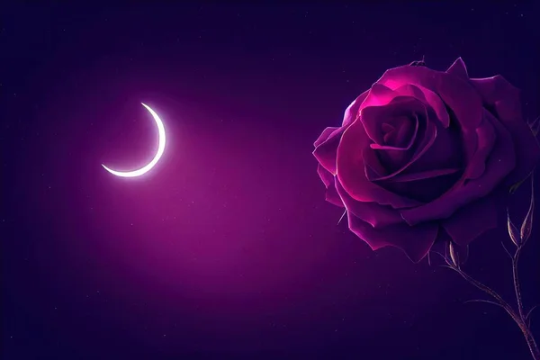 beautiful rose flower on a dark background and moon light dramatic