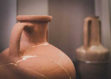 Ukrayna 'nın Poltava kentindeki arkeolojik ve tarihi mirasın sergisi