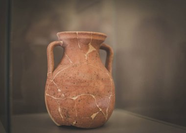 Ukrayna 'nın Poltava kentindeki arkeolojik ve tarihi mirasın sergisi