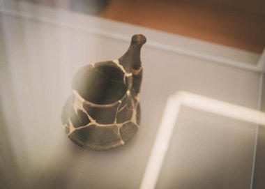 Ukrayna 'nın Poltava kentindeki arkeolojik ve tarihi mirasın sergisi