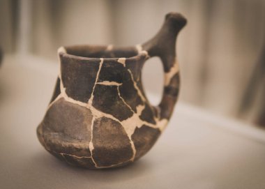 Ukrayna 'nın Poltava kentindeki arkeolojik ve tarihi mirasın sergisi