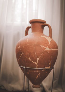 Ukrayna 'nın Poltava kentindeki arkeolojik ve tarihi mirasın sergisi