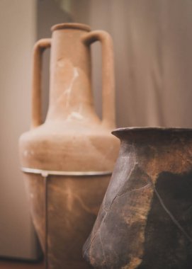 Ukrayna 'nın Poltava kentindeki arkeolojik ve tarihi mirasın sergisi