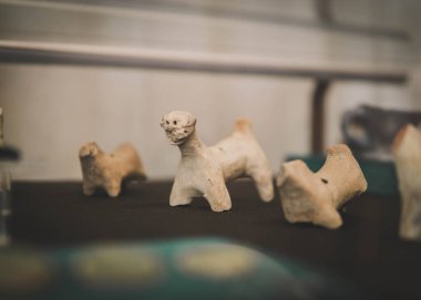 Ukrayna 'nın Poltava kentindeki arkeolojik ve tarihi mirasın sergisi