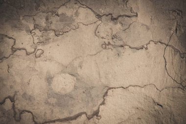 Ukrayna arkeolojik kazı alanında bir Tunç Çağı eseri bulundu.