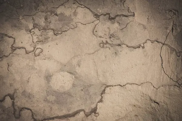 Ukrayna arkeolojik kazı alanında bir Tunç Çağı eseri bulundu.