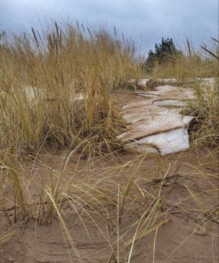 sand dune in spring at dusk