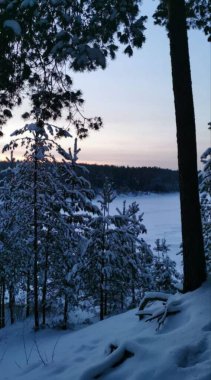Kış akşamları dağdan orman manzarası