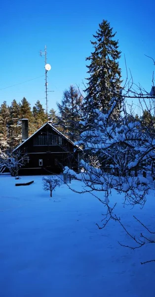 view of the meadow, forest and house in the snowy winter