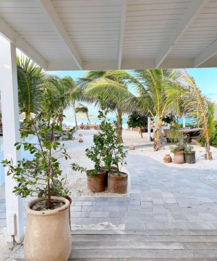 Beach house terrace, paths, plants and the sea in the distance