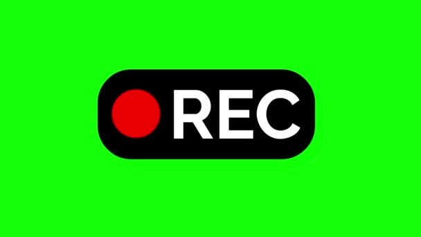 Video Kamera Nahrávání Obrazovky Zelená Obrazovka Animace Pozadí — Stock video