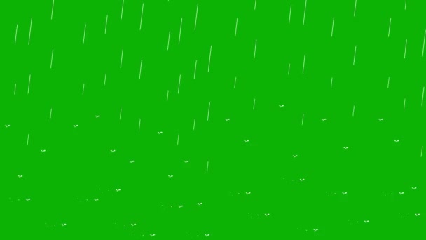Egyszerű Esőanimáció Vízcseppekkel Hullámokkal Zöld Képernyőn Háttér — Stock videók