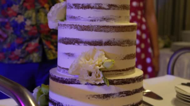 Wedding Cake Couple Background — стоковое видео