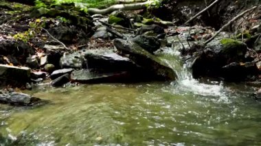 Small waterfall of a creek in the forest