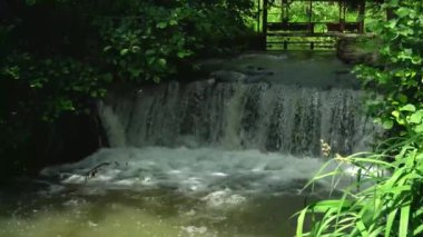 Small waterfall in an arboretum