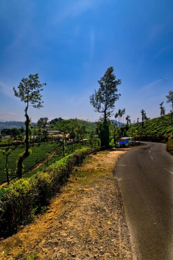 A beautiful landscape of backwater of sholiyar dan in valparai, tamilnadu border in south india