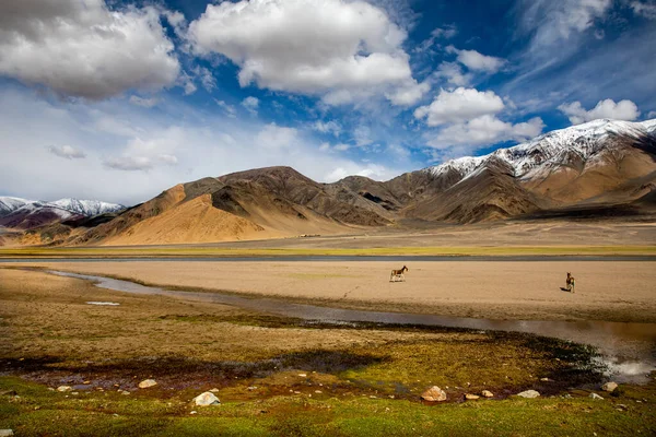 Himalajski Krajobraz Dzikim Spojrzeniem Pierwszym Planie — Zdjęcie stockowe