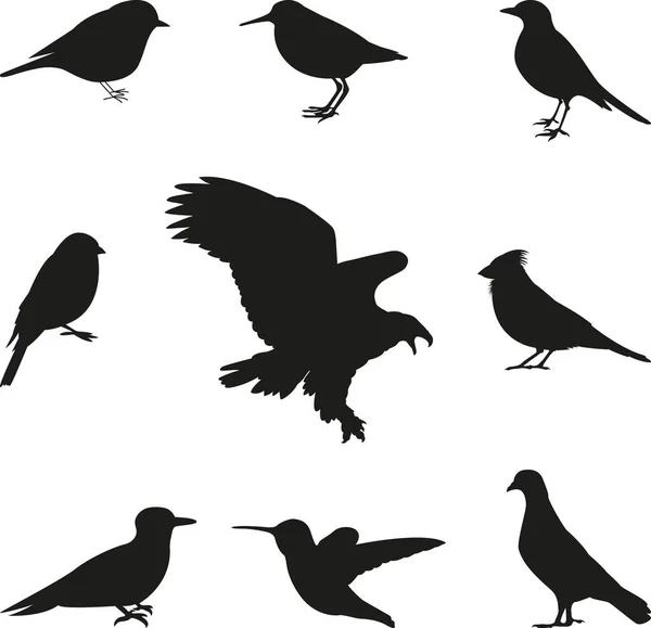 Bird Silhouettes editable vector set
