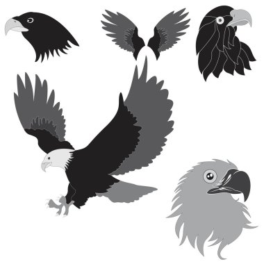 Eagle silhouettes isolated on white