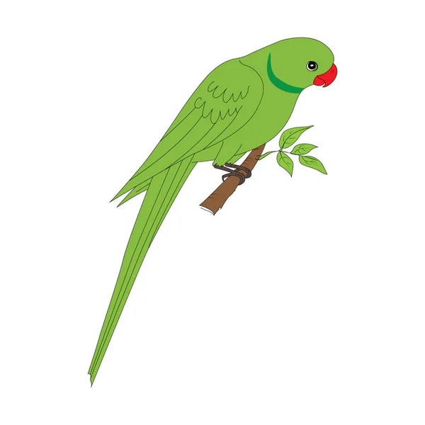 Parrot or Parakeet editable vector file