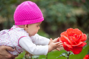 Güneşli bir günde, bahçede altı aylık tatlı bir kız bebek.