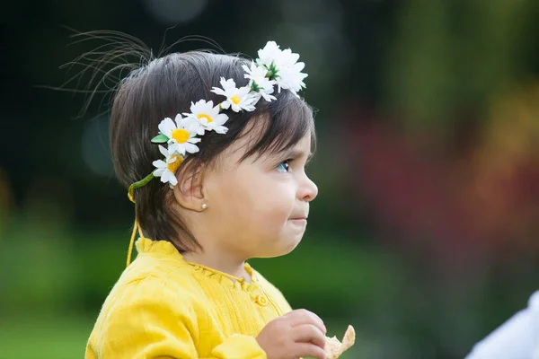 Tahun Yang Manis Dan Setengah Bayi Perempuan Taman Hari Yang Stok Gambar Bebas Royalti