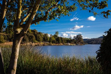 Sochagota yapay gölü 1956 yılında, Kolombiya 'nın kuzeydoğusundaki Boyaca bölgesinde Paipa belediyesine turizm potansiyeli sağlamak için inşa edilmiştir..