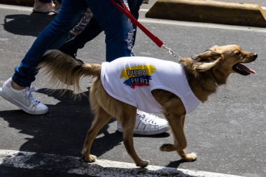 Bogotta, Kolombiya - 6 Mart 2024. March, Gustavo Petro 'nun itham edilmesini istiyor. Bogota Kolombiya 'da hükümet yasa reformlarına karşı barışçıl protesto yürüyüşü.