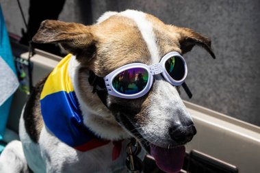 Bogotta, Kolombiya - 6 Mart 2024. March, Gustavo Petro 'nun itham edilmesini istiyor. Bogota Kolombiya 'da hükümet yasa reformlarına karşı barışçıl protesto yürüyüşü.