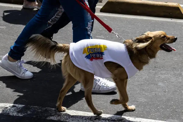 Bogotta, Kolombiya - 6 Mart 2024. March, Gustavo Petro 'nun itham edilmesini istiyor. Bogota Kolombiya 'da hükümet yasa reformlarına karşı barışçıl protesto yürüyüşü.