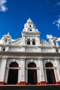 Lekesiz Gebeliğin Tarihsel Küçük Bazilikası 1874 yılında Kolombiya 'nın Caldas departmanındaki Salamina miras kasabasında açıldı.