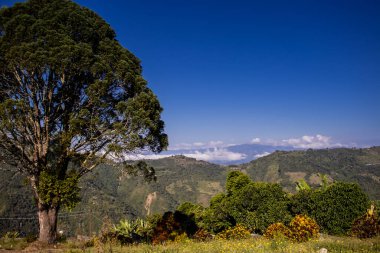 Kolombiya 'nın Caldas departmanındaki güzel miras kasabası Salamina' daki dağların manzarası.