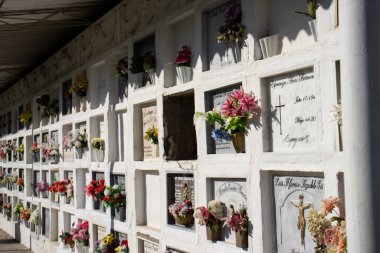 SALAMINA, COLOMBIA - 14 HAZİRAN 2024: Kolombiya 'nın Caldas departmanındaki güzel miras kasabası Salamina' nın tarihi mezarlığı