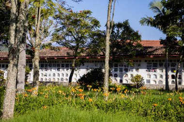 SALAMINA, COLOMBIA - 14 HAZİRAN 2024: Kolombiya 'nın Caldas departmanındaki güzel miras kasabası Salamina' nın tarihi mezarlığı