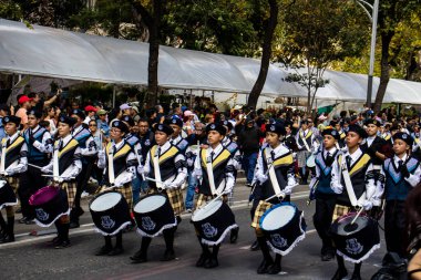Mexico City, Meksika - 19 Ekim 2024 Mexico City 'deki Reforma Caddesi' nde Alebrijes adında renkli hayali yaratıkların geleneksel geçit töreni.
